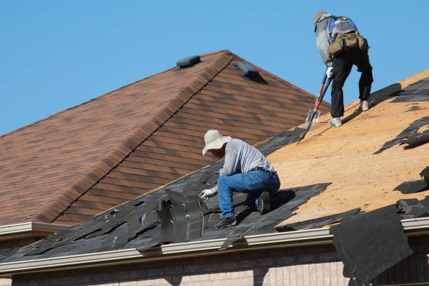 Best Skylight Installation and Repair  in Port Barrington, IL